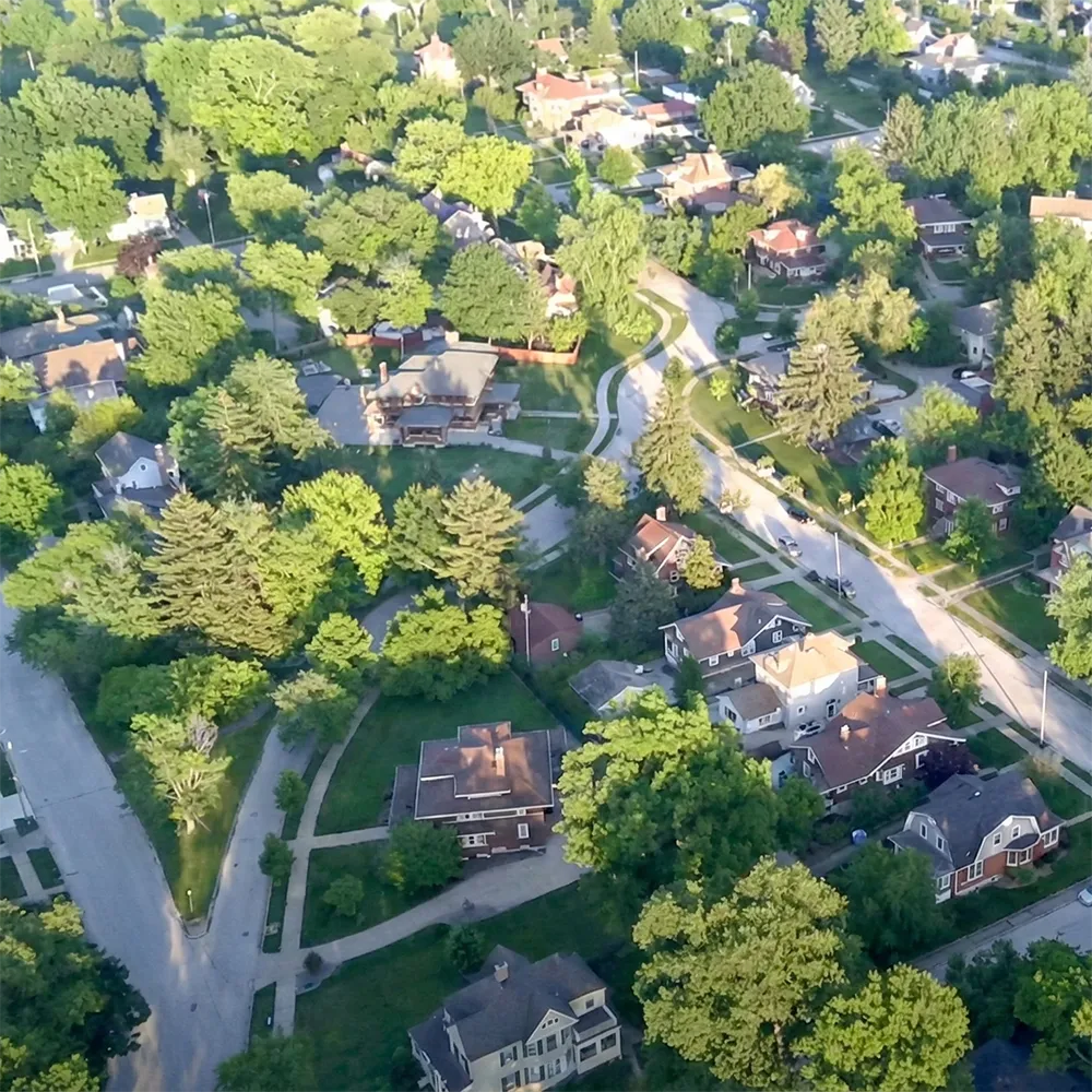 Hosting &<br>Site Care